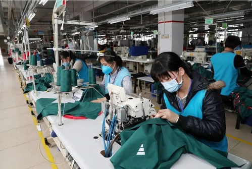 云浮 網格立體戰法彰顯“善德之城”硬核風采，創業空間服務賦能發展新格局